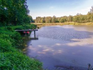 Holiday Home Lgota by Interhome في Witanowice: طاولة نزهة في وسط البحيرة