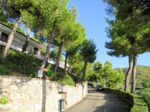 a road with trees on the side of a building at Apartment Costa di Kair ed Din-6 by Interhome in Sperlonga