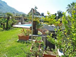 un jardín con piscina y algunas plantas en Apartment Ponente by Interhome, en Isquia