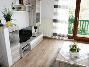 TV a/nebo společenská místnost v ubytování Apartment Schleichert-2 by Interhome