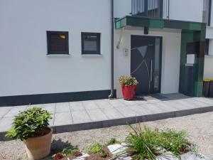 two potted plants sitting outside of a building at Apartment Brake by Interhome in Offenburg