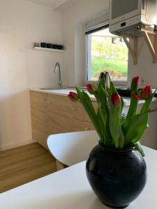 Köök või kööginurk majutusasutuses Hotel Markgraf
