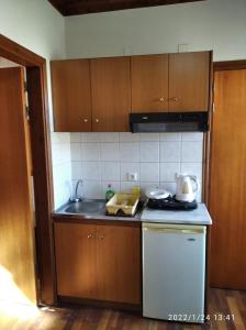 uma cozinha com um lavatório e um fogão forno superior em Stefanos em Meyisti