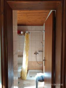a bathroom with a shower and a toilet at Stefanos in Meyisti