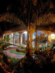 dom z palmą w ogrodzie w obiekcie Recanto Pousada Sonho Meu w mieście Analândia