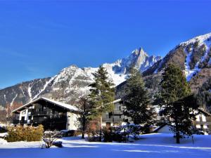 a lodge in the mountains with snow on the ground at Apartment Champraz-15 by Interhome in Chamonix