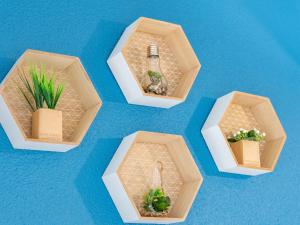 カルナックにあるStudio Maison Port En Dro-3 by Interhomeの青い背景に植物が入った4つの木箱 +18枚の写真