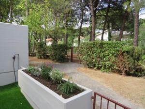 Vonkajšia záhrada v ubytovaní APPARTAMENTO PETRARCA + 11 fotografií