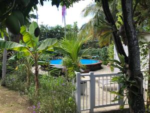 Una puerta en un jardín con piscina en Banan Woz en Bouillante