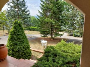 vistas a un jardín con árboles y una silla blanca en Villa Angela Santa Maria del Molise, en Santa Maria del Molise