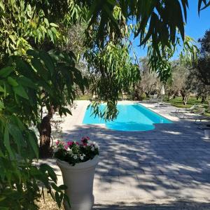 basen w ogrodzie z rośliną w obiekcie Tenuta Sidore w mieście Cursi