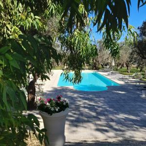 The swimming pool at or close to Tenuta Sidore