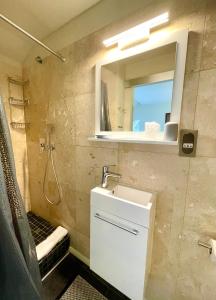 a bathroom with a sink and a mirror and a shower at Centr'Hotel in Marigot
