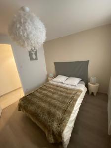 1 dormitorio con 1 cama grande con manta marrón en MSM locations, en Luxeuil-les-Bains