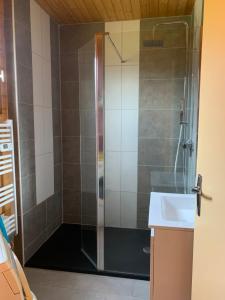 una ducha con una puerta de cristal junto a un lavabo en ISATIS 19 en Ignaux