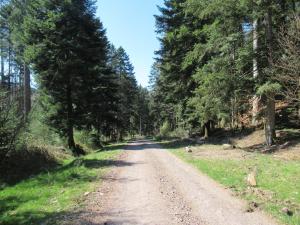 Příroda nedaleko bed and breakfast