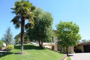 a house with palm trees in front of a yard at Agriturismo Foravia in Guarene