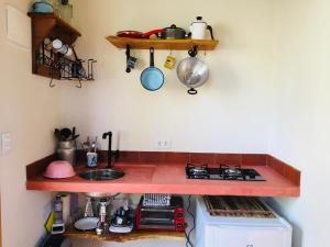 a kitchen with a counter top with a sink at Cabana Arbosana in São Bento do Sapucaí