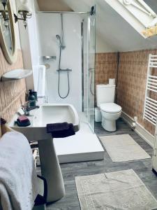 ein Bad mit einer Dusche, einem Waschbecken und einem WC in der Unterkunft Gîte de l’Allaine in Morvillars