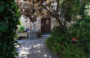 A garden outside Can tronca