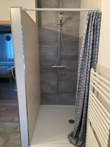 een douche met een douchegordijn in de badkamer bij Grenznahe Ferienwohnung mit 4 Schlafzimmern in Grenzach-Wyhlen