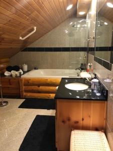 a bathroom with a sink and a bath tub at Black River Crossing Bed & Breakfast in Bessemer +38 photos