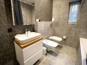 łazienka z umywalką, toaletą i lustrem w obiekcie URBAN APARTMENTS Premium No 3, FREE PRIVATE PARKING, Self CHECK-IN w mieście Chorzów +19 zdjęć
