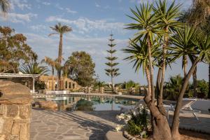 einen Pool mit Palmen in einem Resort in der Unterkunft Villa Ker by Ethos Hospitality- 5 Bedrooms in Mykonos Stadt