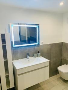 a bathroom with a sink and a toilet and a window at Appartement cocooning pour un séjours à Tende in Tende