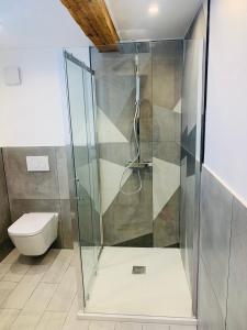 a glass shower in a bathroom with a toilet at Appartement cocooning pour un séjours à Tende in Tende