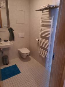 Koupelna v ubytování Apartmán u sjezdovky Filipovice + 25 fotografií