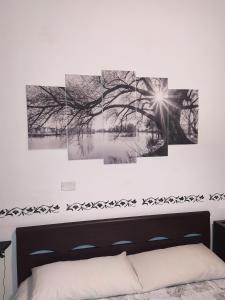 four framed tree paintings on a wall above a bed at Fercla appartamento in Fiano Romano