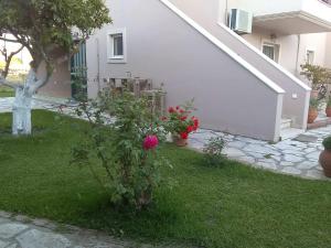 A garden outside Casa memories