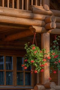 Φωτογραφία από το άλμπουμ του Levendula Rönkház Őrség σε Zalalövő