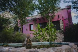 Jardí fora de Architerra