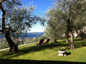 two chairs and a flower pot on a lawn with trees at Bed&Breakfast Giardini di Corte in Toscolano Maderno