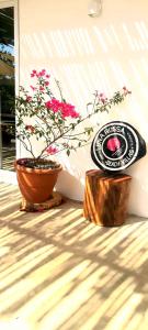 El Paredón Buena VistaLuna Rossa的相册照片