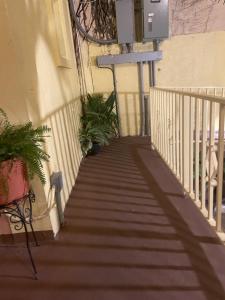 Fotografie z fotogalerie ubytování Midtown Guest House v destinaci Charlotte Amalie