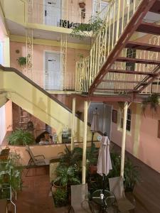 a staircase in a building with potted plants at Midtown Guest House in Charlotte Amalie