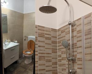 奥拉迪亚Carla's place Ap1的带淋浴、马桶和水槽的浴室