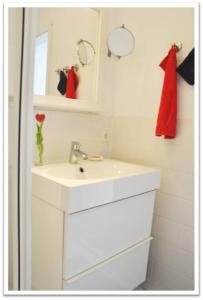 W łazience znajduje się biała umywalka i lustro. w obiekcie Chalet Charlotte w Konstancji