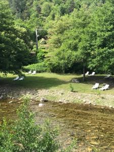 un groupe de bancs blancs dans un champ dans l'établissement Relais des Brison, à Beaumont