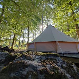 a tent in the middle of a forest at Naturglamping in Kristianstad +21 photos