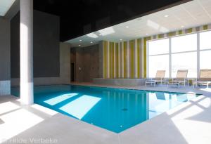 Bazén v ubytování Domein Westhoek Apartment nebo v jeho okolí