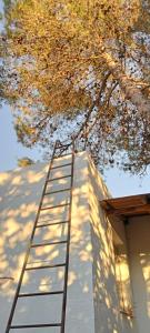 uma escada ao lado de um edifício ao lado de uma árvore em La Bodega de Villa Bella em Espartinas