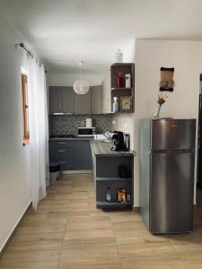 uma cozinha com um frigorífico de aço inoxidável em Casa Loredana em Cartisoara