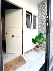 een deur in een huis met een plant ernaast bij Apartamento Centro San Diego in Sanlúcar de Barrameda