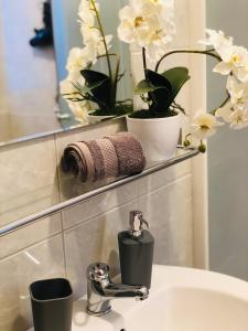 Koupelna v ubytování Apartmán U Tří smrků