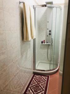 奧爾比亞的住宿－Best Sardegna，浴室设有玻璃门和地毯,配有淋浴