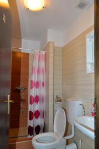 y baño con aseo y cortina de ducha. en Guesthouse Pink Panther, en Udbina